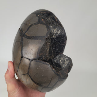 Druzy Septarian (10.1 lbs _ S-114)