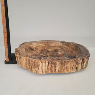 Petrified Wood Bowl (25.2 lbs _ S-117)