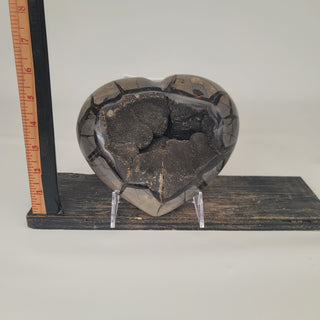 Druzy Septarian Heart (6.74 lbs _ S-120)