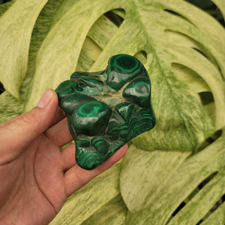 Bull's Eye Malachite (1.1 lbs _ SL-174)