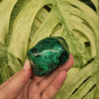 Bull's Eye Malachite (15.4 oz _ SL-175)