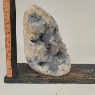 Celestite Geode (7.0 lbs _ S-187)