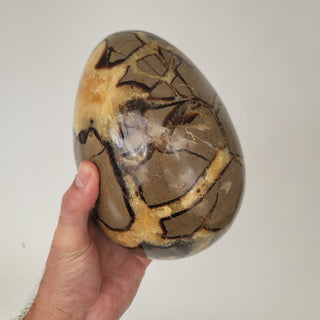 Septarian Egg (11.4 lbs _ S-208)