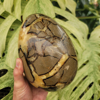 Septarian Egg (11.4 lbs _ S-208)