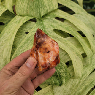 Carnelian Quartz Flame (6.65 oz _ SL-216)