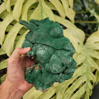 Raw/Rough Malachite (5.89 lbs _ S-228)