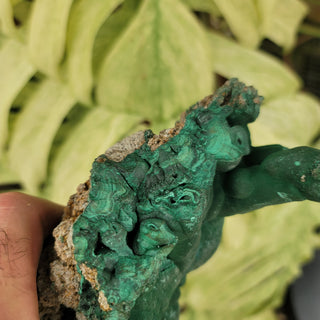 Raw/Rough Malachite (5.89 lbs _ S-228)