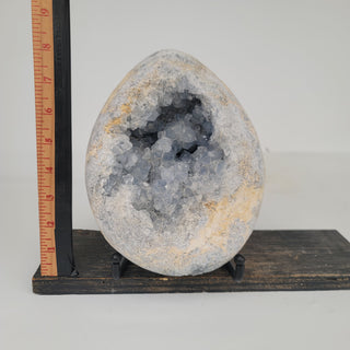 Celestite Geode (14.6 lbs _ S-229)