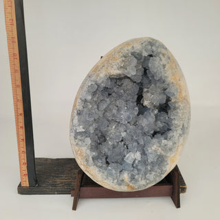 Celestite Geode - Extra Large (26.4 lbs _ S-236)