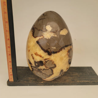 Septarian Egg (18.5 lbs _ S-19)