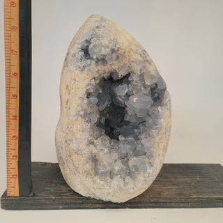 Celestite Geode - Extra Large (20.0 lbs _ S-239)