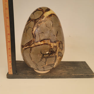 Septarian Egg - Extra Large Specimen (18.0 lbs _ S-241)