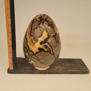 Septarian Egg (15.2 lbs _ S-246)