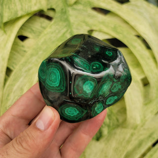 Bull's Eye Malachite (13.8 oz _ SL-295)