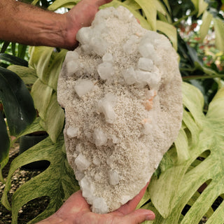 White Calcite Cluster - XL (20.6 lbs _ S-298)