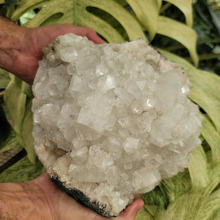 White Calcite Cluster (15.3 lbs _ S-299)