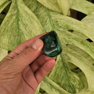 Polished Malachite (1.4 oz _ SL-328)