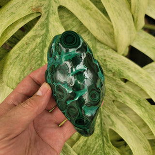 Bull's Eye Malachite (14.6 oz _ SL-334)