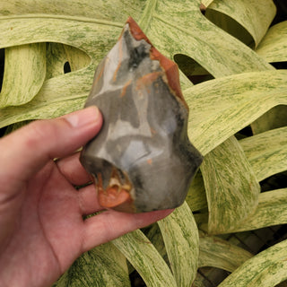 Polychrome Jasper Flame (15.42 oz _ SL-337)