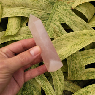 Rose Quartz Obelisk (4.79 oz _ SL-339)