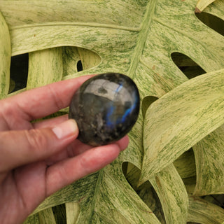 Labradorite Palm Stone (4.08 oz _ SL-340)