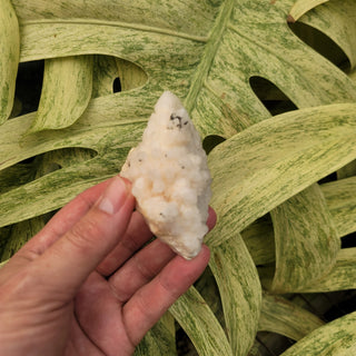 White Calcite Cluster (6.46 oz _ SL-341)