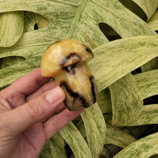 Septarian Mushroom (11.50 oz _ SL-346)