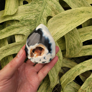 Orca Agate Flame w/ Inclusion (10.87 oz _ SL-352)