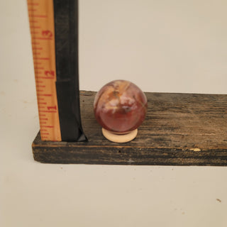 Polished Petrified Wood Sphere (3.55 oz _ SL-355)