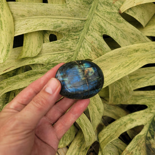 Labradorite Palm Stone (4.38 oz _ SL-360)