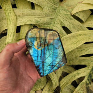 Labradorite (2.0 lbs _ SL-364)