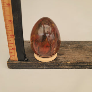 Polished Petrified Wood Egg (15.09 oz _ SL-367)