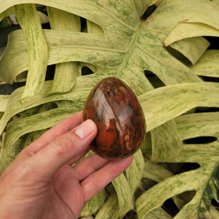 Polished Petrified Wood Egg (15.09 oz _ SL-367)