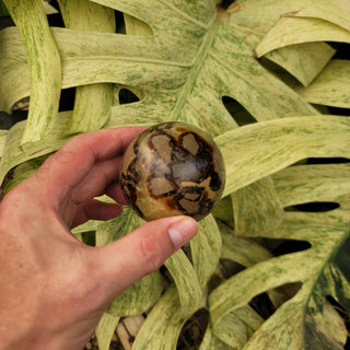 Septarian Sphere (13.91 oz _ SL-368)