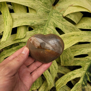 Polychrome Jasper Heart (11.00 oz _ SL-371)