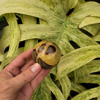 Septarian Sphere (10.44 oz _ SL-376)