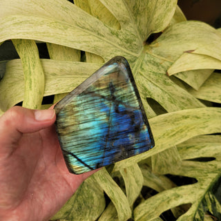 Labradorite (1.2 lbs _ SL-385)