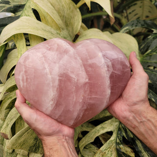 Rose Quartz Heart (12.7 lbs _ S-386)