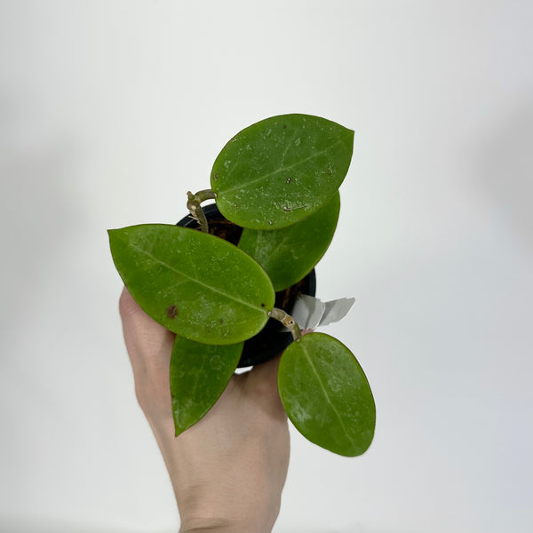 26F263EB-19C7-4FE2-BBA1-