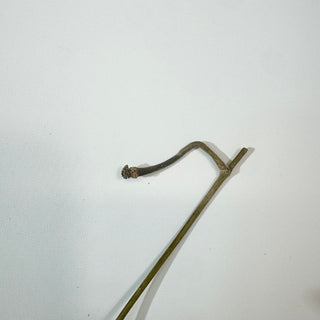 Hoya meredithii [#2178]