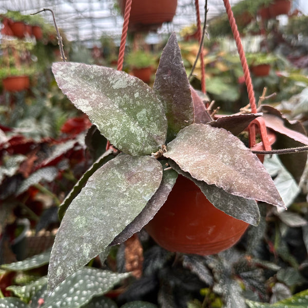 4AFD4600-D043-4022-958F-