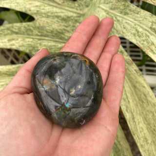 Labradorite Palm Stone (4.39 oz _ SL-401)