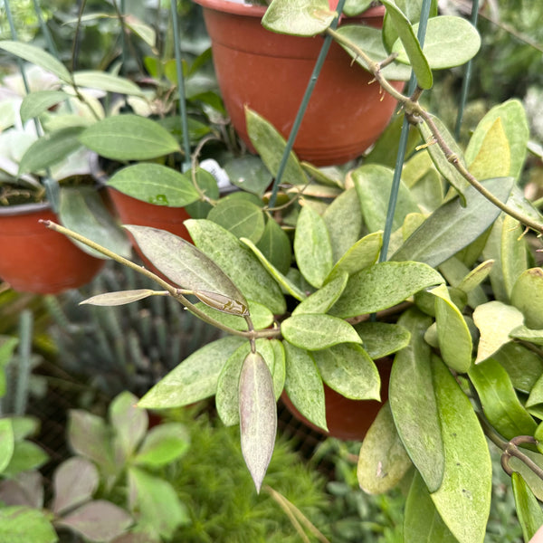 9D498597-C515-4C10-9FCF-