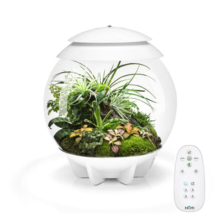 biOrb AIR30