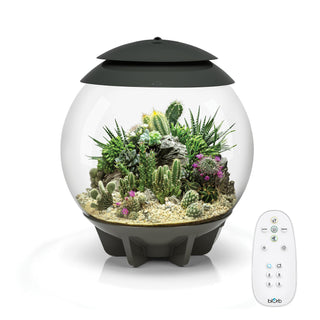 biOrb AIR30