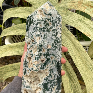 Moss Agate Druzy Obelisk (3.4 lbs _ SL-402)