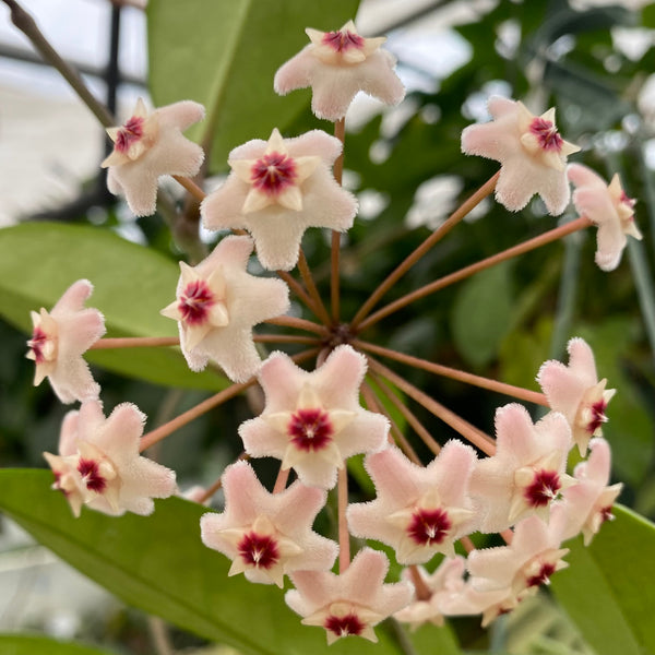 ED622A04-8B5E-4227-A1C3-