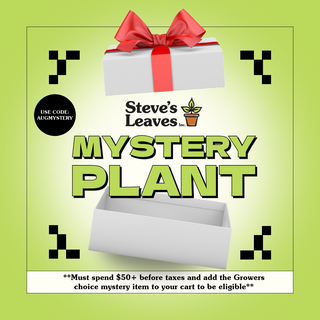 Grower's Choice Mystery Plant