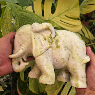 Serpentine Jade Elephant (11.4 lbs _ S-547)