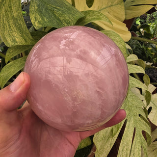 Rose Quartz Sphere (4.8 lbs _ S-548)